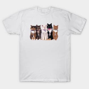 family cat T-Shirt